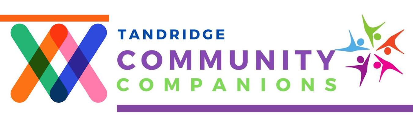 Voluntary Action Surrey East VASE - Community Companions logo