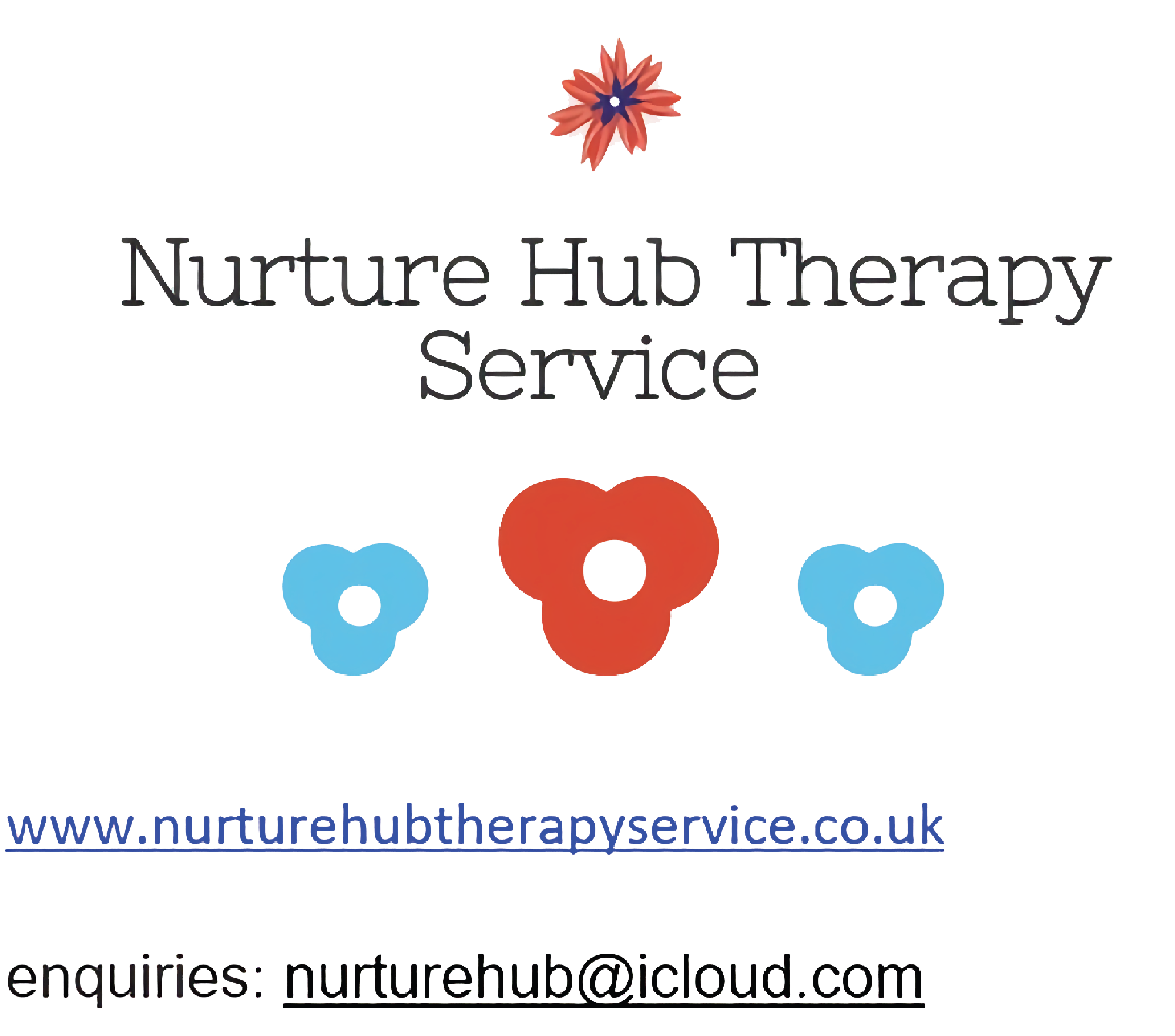 Nurture Hub Therapy Service logo